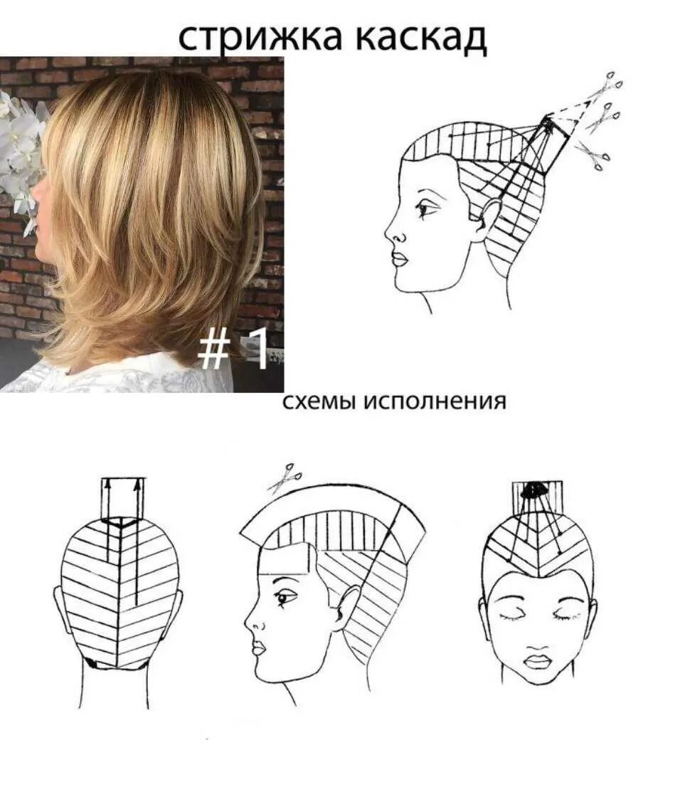 Стрижка на средние волосы схема. Технология стрижки рапсодия схема. Схема стрижки Каскад. Технология стрижки Каскад пошагово. Технология выполнения стрижки Каскад со схемами.