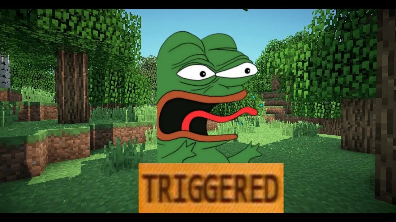 The man from the frog minecraft. The man from the frog minecraft
