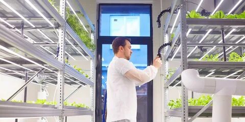 Новатор н