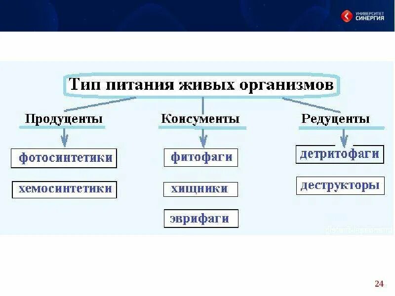 Основные типы взаимодействия видов. Пищевые типы взаимодействия организмов. Виды взаимодействия живых организмов. Законы и следствия пищевых отношений. Виды питания живых организмов.