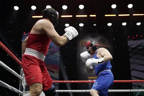 Боксеры чемпионы