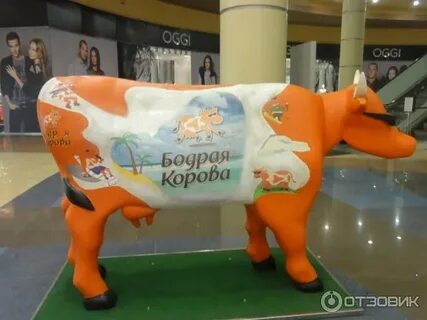 Тц хорошо холоп