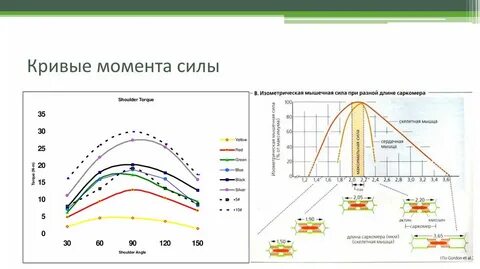 Кривая моментов