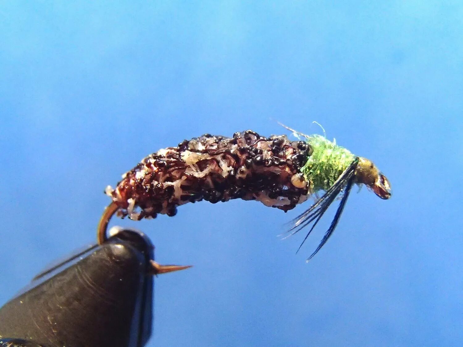 Личинки падальная муха. Личинка мушки. Зеленый ручейник личинка. Мушка ручейник на хариуса. Мушка шитик на хариуса.