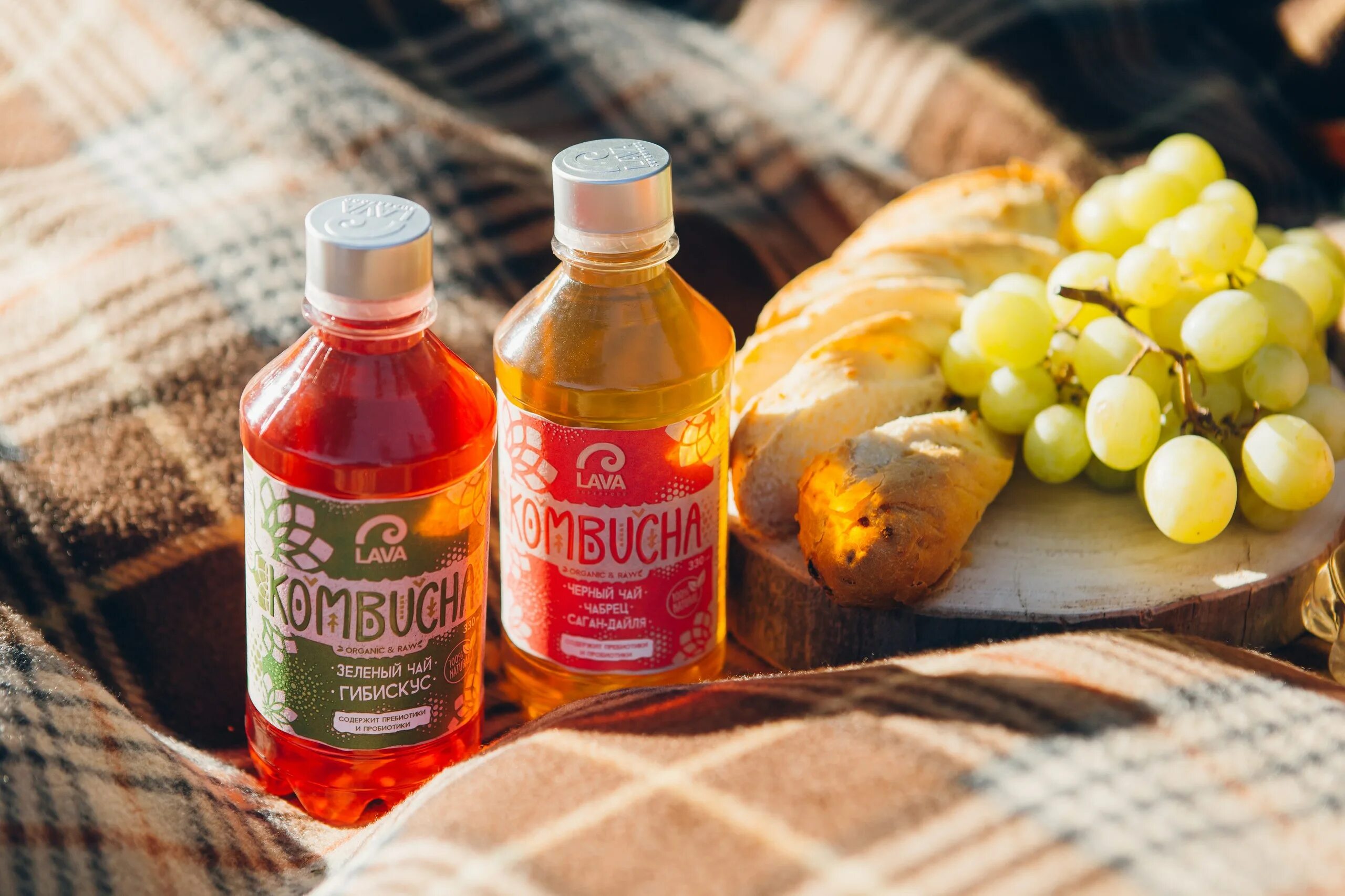 Комбуча напиток что это. Комбуча тула. kombucha lava. комчуба. напитки лава из лава из.