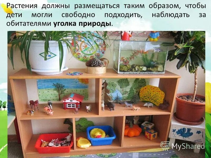 Сочинение о любимом уголке природы. Опишите какой нибудь уголок природы. Сочинение мой родной край. Оформление уголка природы на аттестацию. Полка для уголка природы в детском саду.