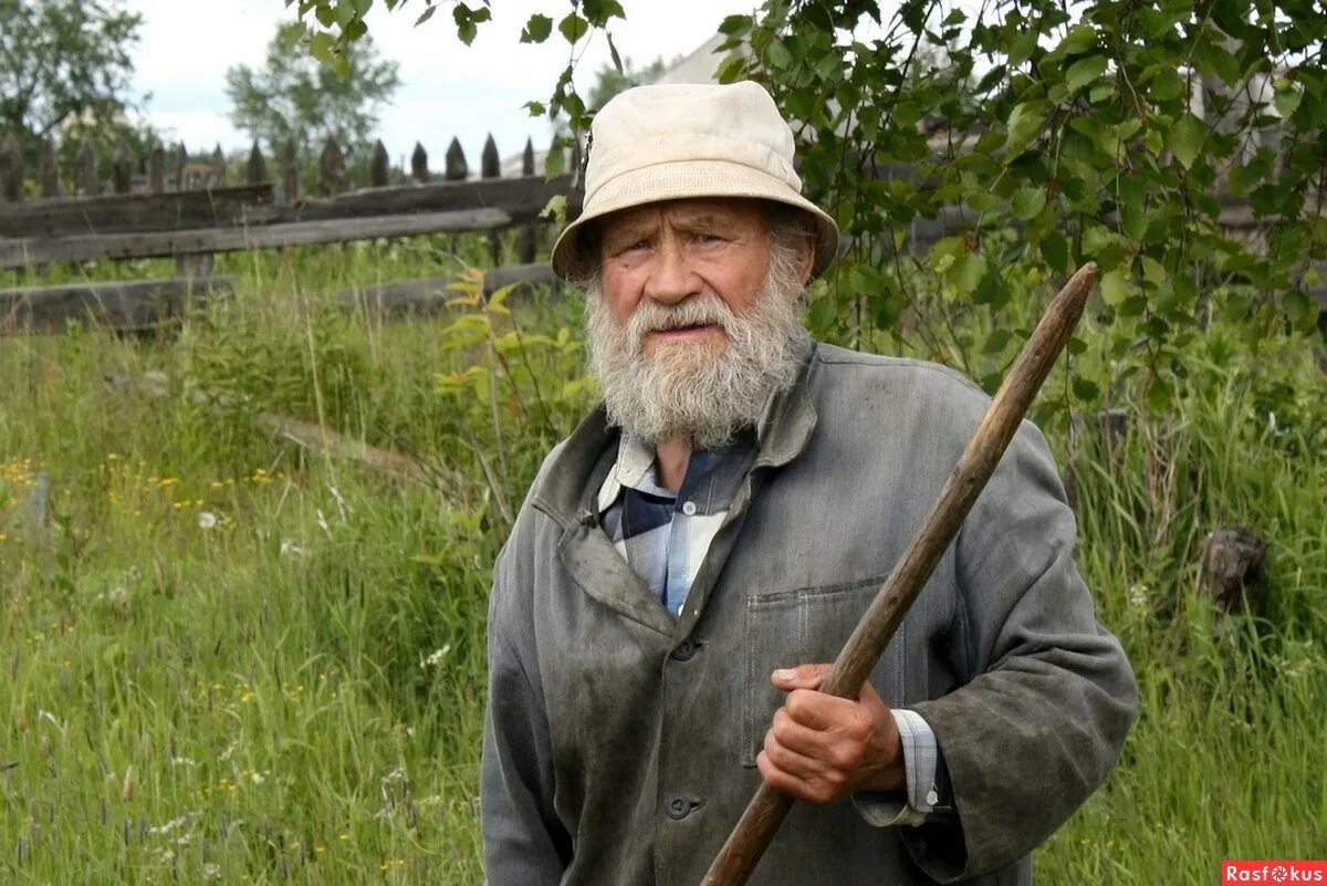 На деревню к дедушке. Деревенский дед. Сторож деревьев