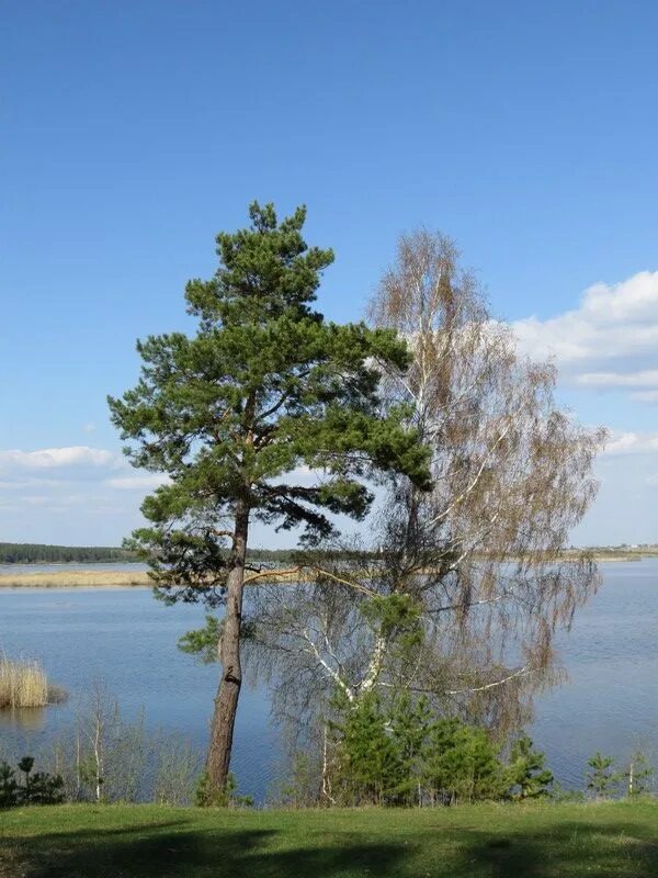 Озеро иртяш касли. Озеро большие касли. Озеро чебакуль челябинская область. Озеро аракуль. Озеро большие касли челябинская область.