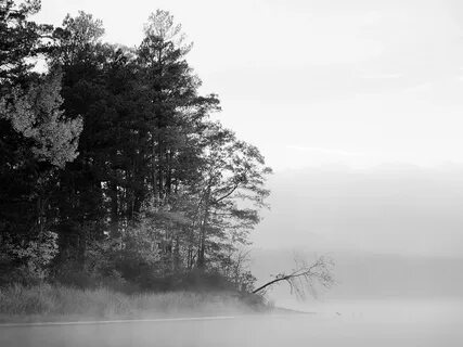 Nature white