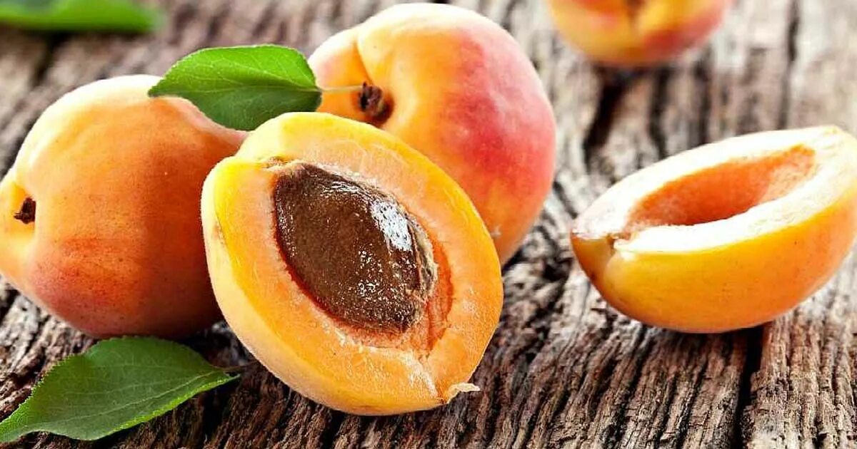 Apricot kernel. Apricot kernel