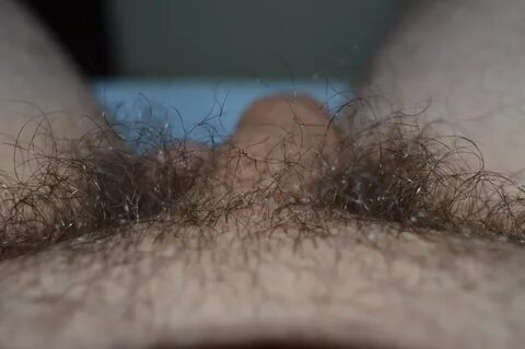 Pubic Hair.jpg. 