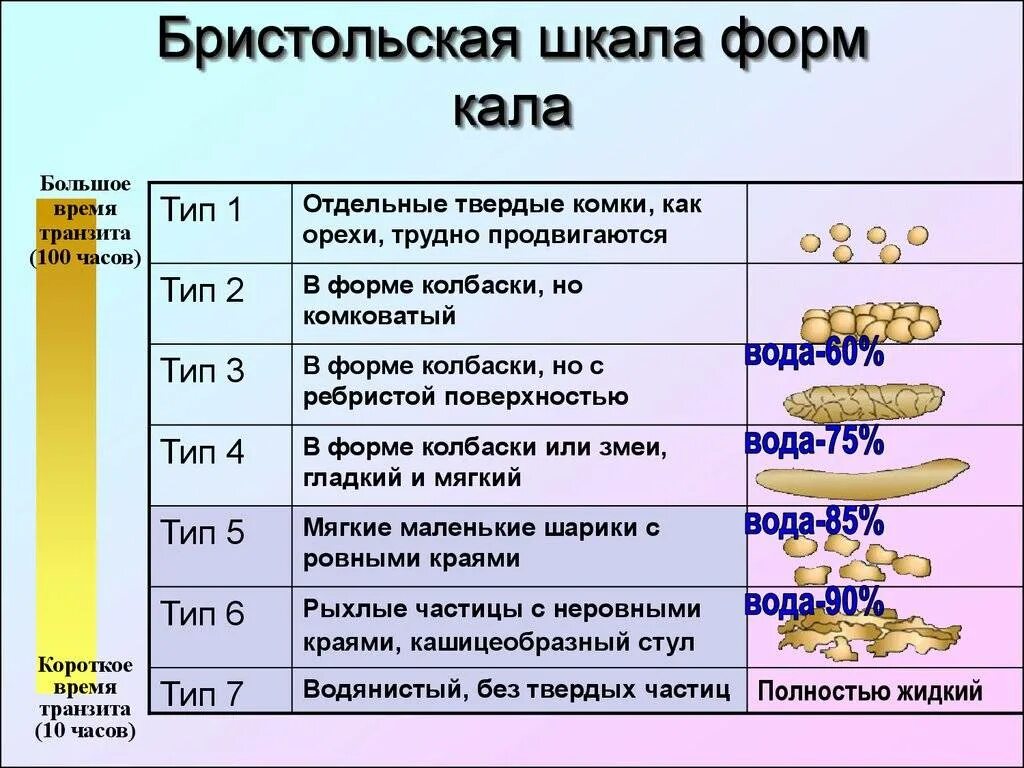 Классификация кала. Бристольская шкала формы фекалий. 4 Тип кала по Бристольской шкале. Бристольская школа формы кала. Бристольская шкала кала 6 Тип.