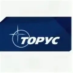 Диски торусы r17. Tori логотип. Tori логотип. Торговый центр торус. Торус групп.