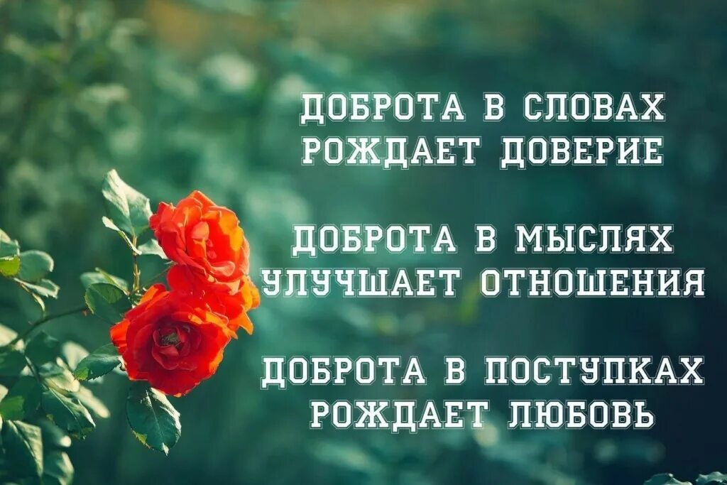 Рождать основа
