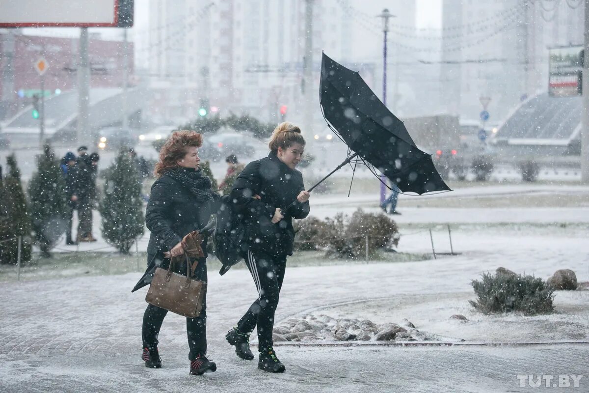 Снег с грозой. Сильный ветер. Усиление ветра. Порывистый ветер зимой. Штормовое предупреждение снег.