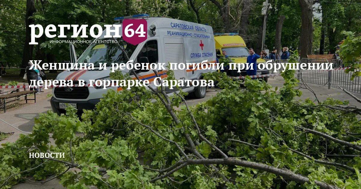 Горпарк Саратов упало дерево. Упало дерево в горпарке Саратов 2023. Упало дерево в парке.