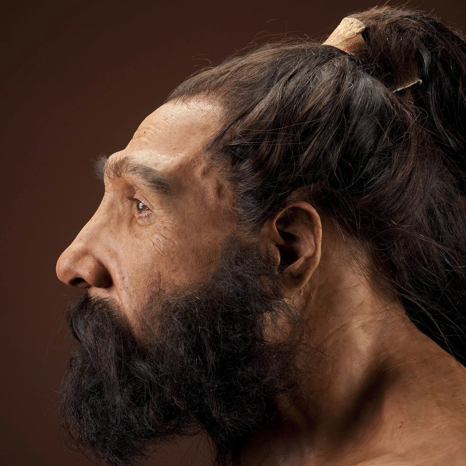 Древний лоб. Хомо неандерталенсис. Неандерталец (homo Neanderthalensis). Хомо сапиенс неандерталенсис Денисовец. Хомо сапиенс неандерталенсис кроманьонцы.