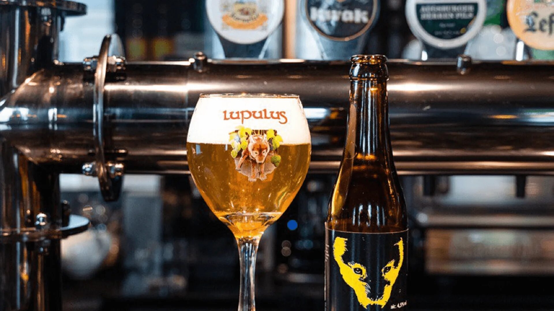 Photos at Lambic - Тверской - 13 tips from 327 visitors