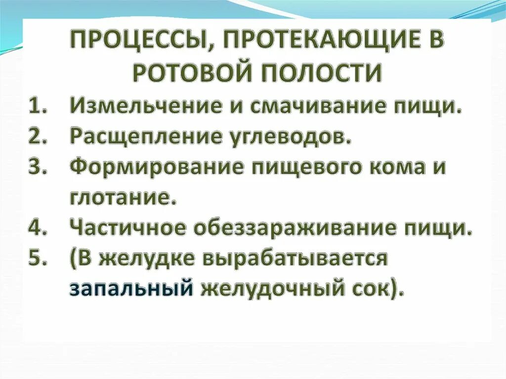 Пищеварительные процессы ротовой полости. Охарактеризуйте процессы происходящие в полости рта. Процессы в ротовой полост. Процессы протекающие в ротовой полости. Процесс пищеварения в ротовой полости.