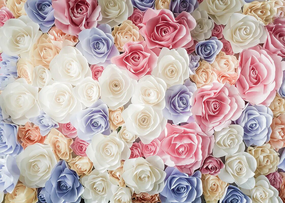 Фон розочки. Цветочный фон. Фотообои цветы. Розы пастельных тонов. Розы фон.