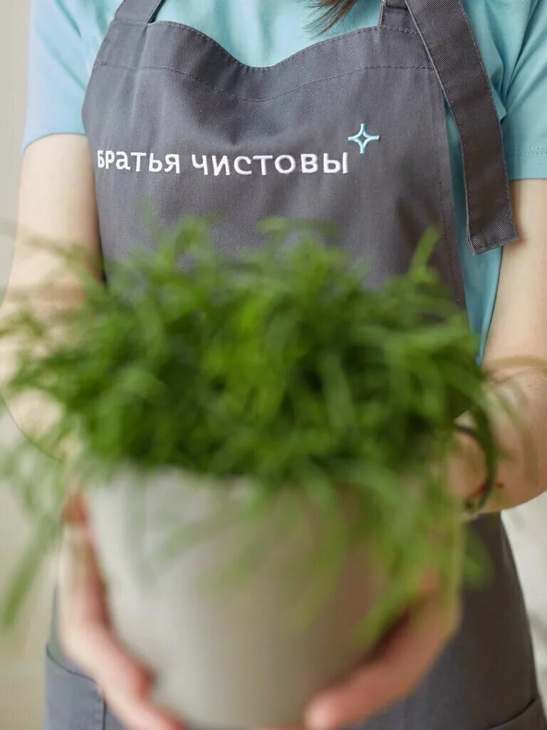 Клининг братьев чистовых. Клининг братьев чистовых. Клининговая компания братья чистовы зеленоград. Мойка окон фото. Клининг коттеджей.