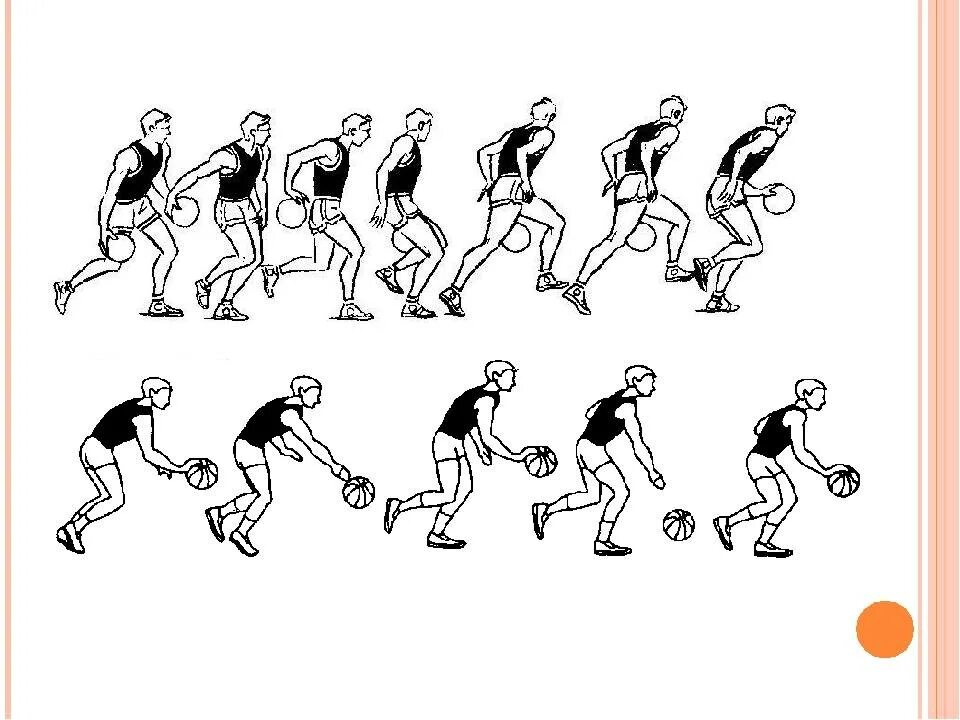 Приемы в баскетболе. Основные движения в баскетболе. Упражнения на ведение мяча в баскетболе. Технические приемы игры в баскетбол. Ведение мяча бегом