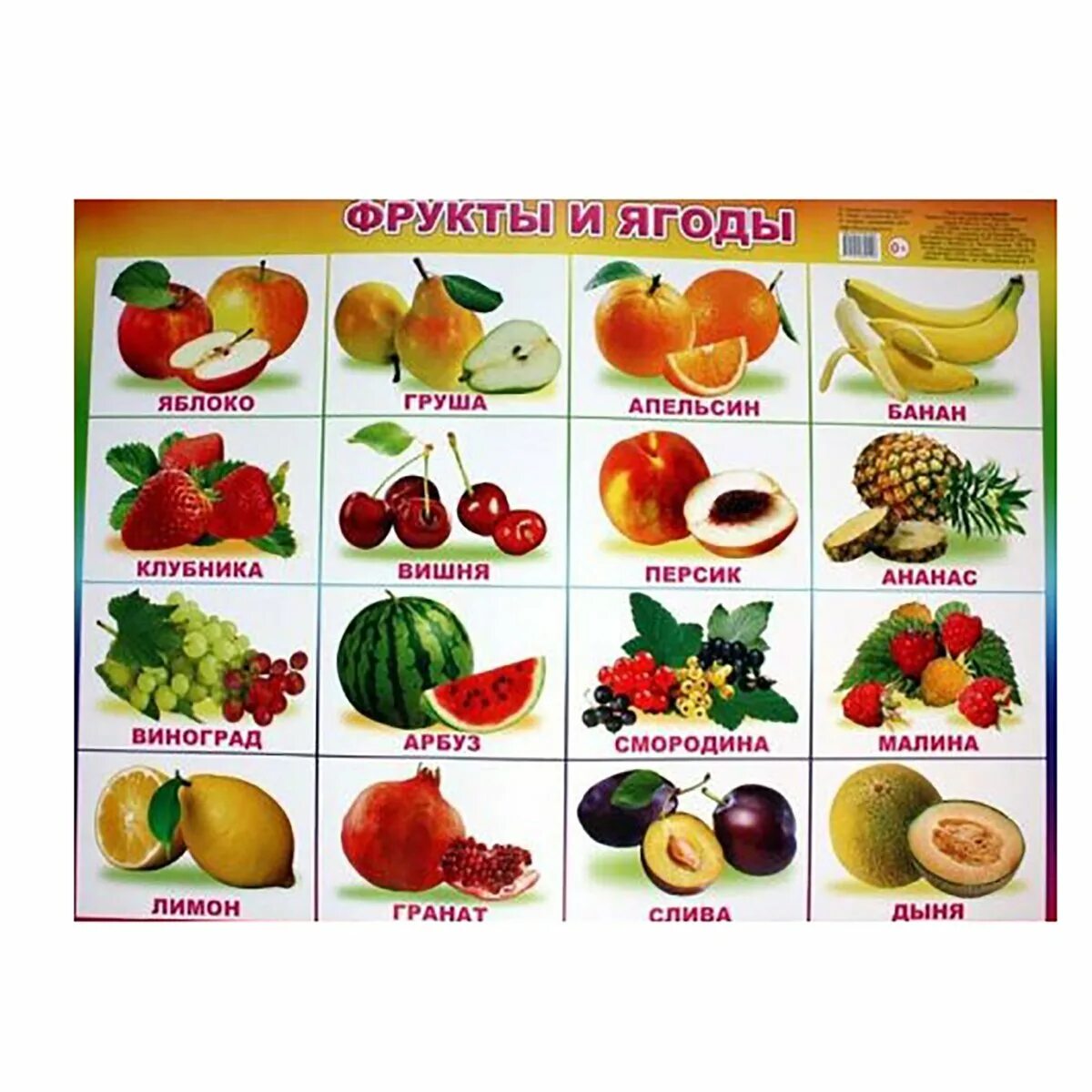 карточки овощи и фрукты. фрукты и ягоды. фрукты и ягоды. плакат. плакат овощи и фрукты для магазина.