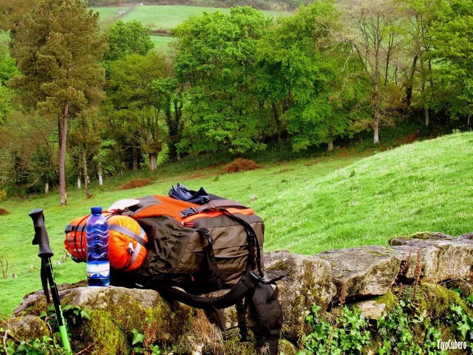 Тропы кумано-кодо. Тропа родников. Кумано-кодо. Священные тропы. Кумано кодо япония.