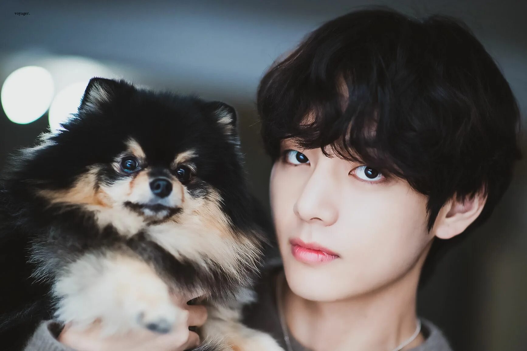 Ви последний. Тэхен бтс. Ким тхэ хён 2020. Ким тэхен. Ким тэхен 2019.