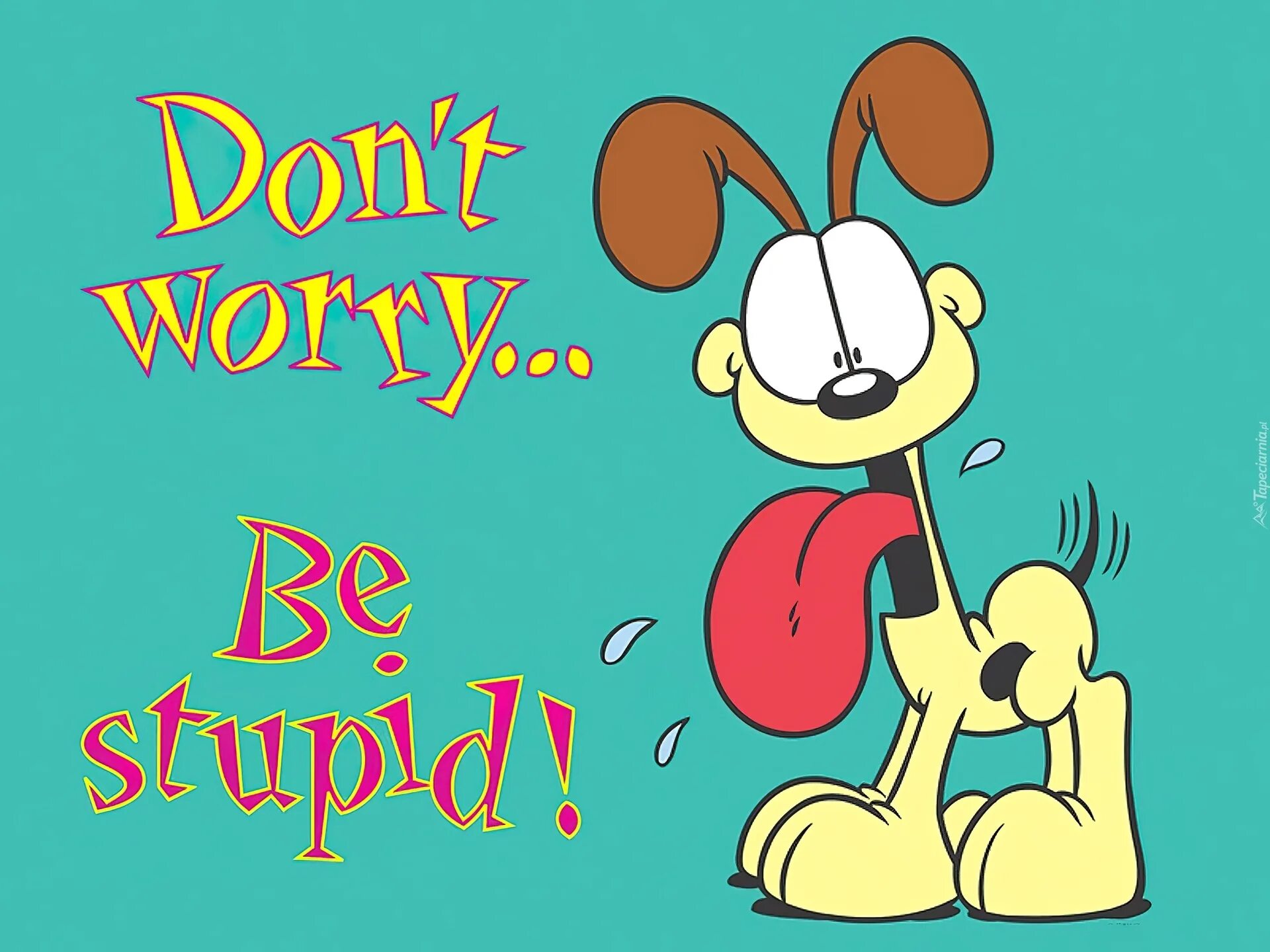 Don t be dumb. Don&#039;t worry be happy картинки прикольные. картинка don&#039;t stupid.