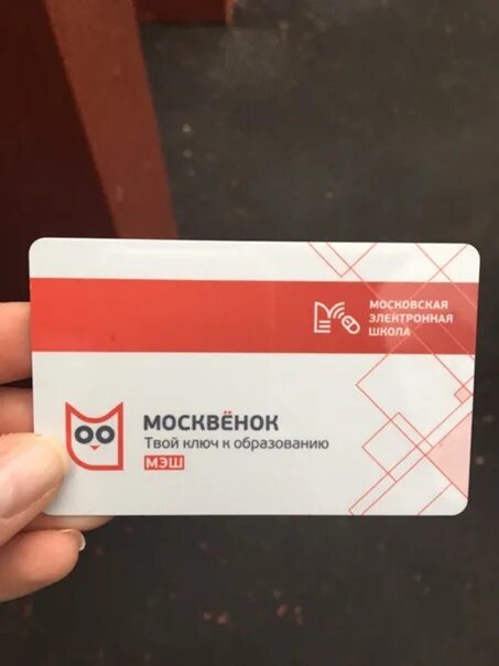 Номер карты москвенок. Карта москвёнок. Карта школьника Москвенок. Карточка москвёнок. Москвёнок твой ключ к образованию.