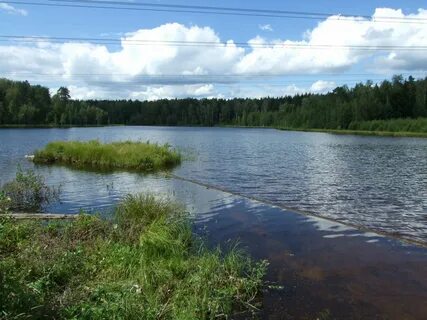96 1996 оз московская область