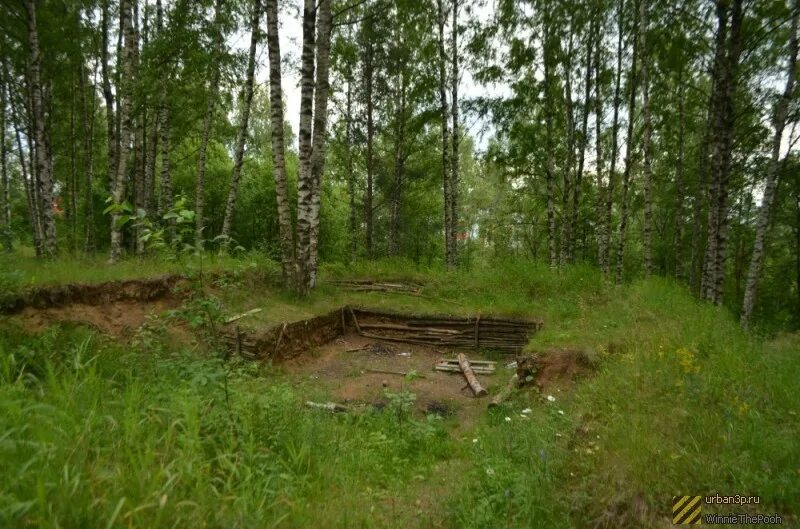 Сплав т осиновая. Большое озеро осиновая роща. Каменные деревья роща. Осиновая роща картинки. Рылов березовая роща.