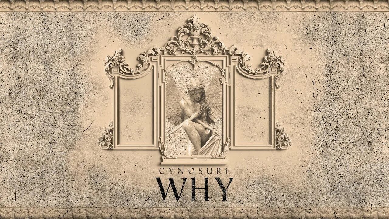 Enigma why. Энигма 2025. enigma covers 2025. enigma why перевод.