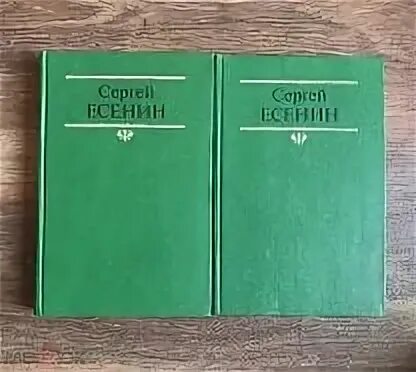 Собрание сочинений в 2 томах