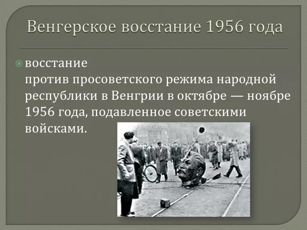 Венгрия требования. Фото на визу в венгрию. Венгрия виза для россиян. Шенген виза венгрия. Категории шенгенских виз.