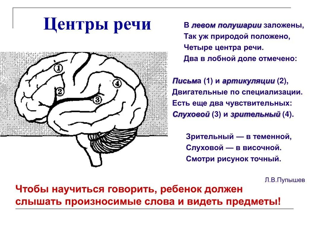 Центр речи в мозге человека. Слуховой центр речи центр Вернике расположен в. Речевые зоны коры головного мозга Брока. Двигательный центр письменной речи расположен. Центры Брока и Вернике в головном мозге.