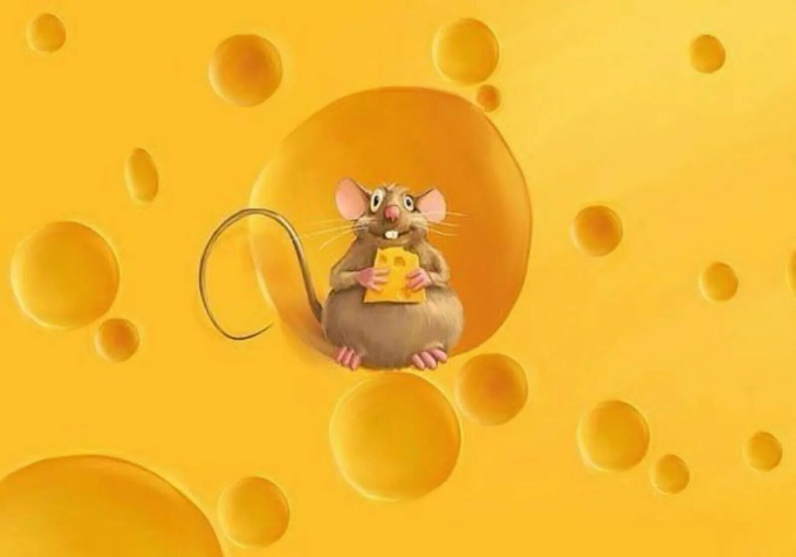 Мышь+сыр. Мышка в сыре. Мышка с сыром. Мышонок на сыре.