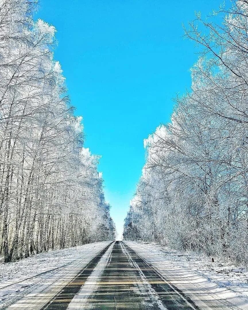 Зимняя дорога. Зимняя дорогая. Заснеженная дорога. Дорога зимой.