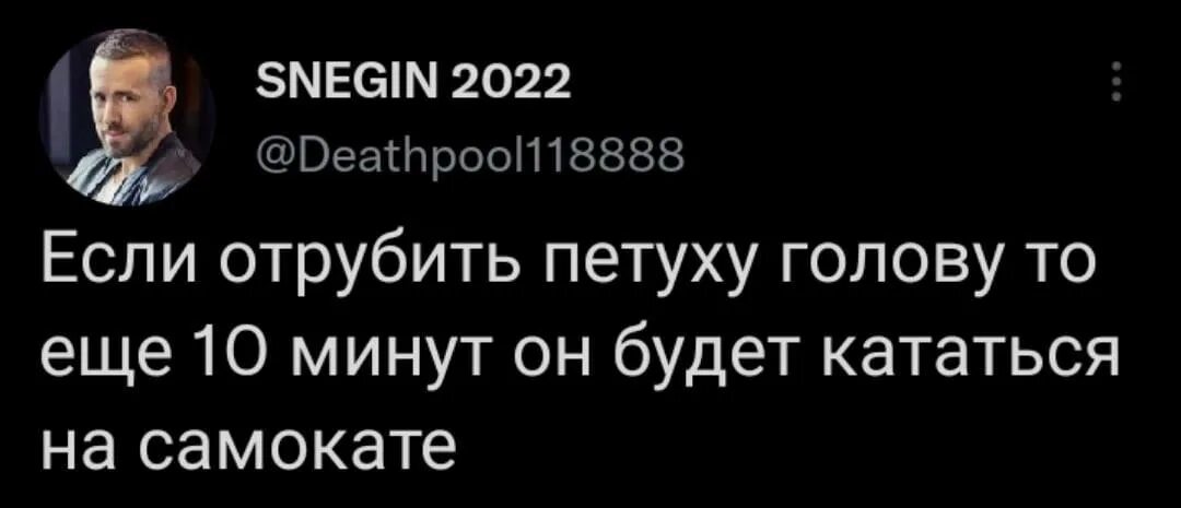 Если петуху отрубить голову то он. Если петуху отрубить голову. Если петуху отрубить голову он еще будет ездить на самокате. Петуху отрубили голову