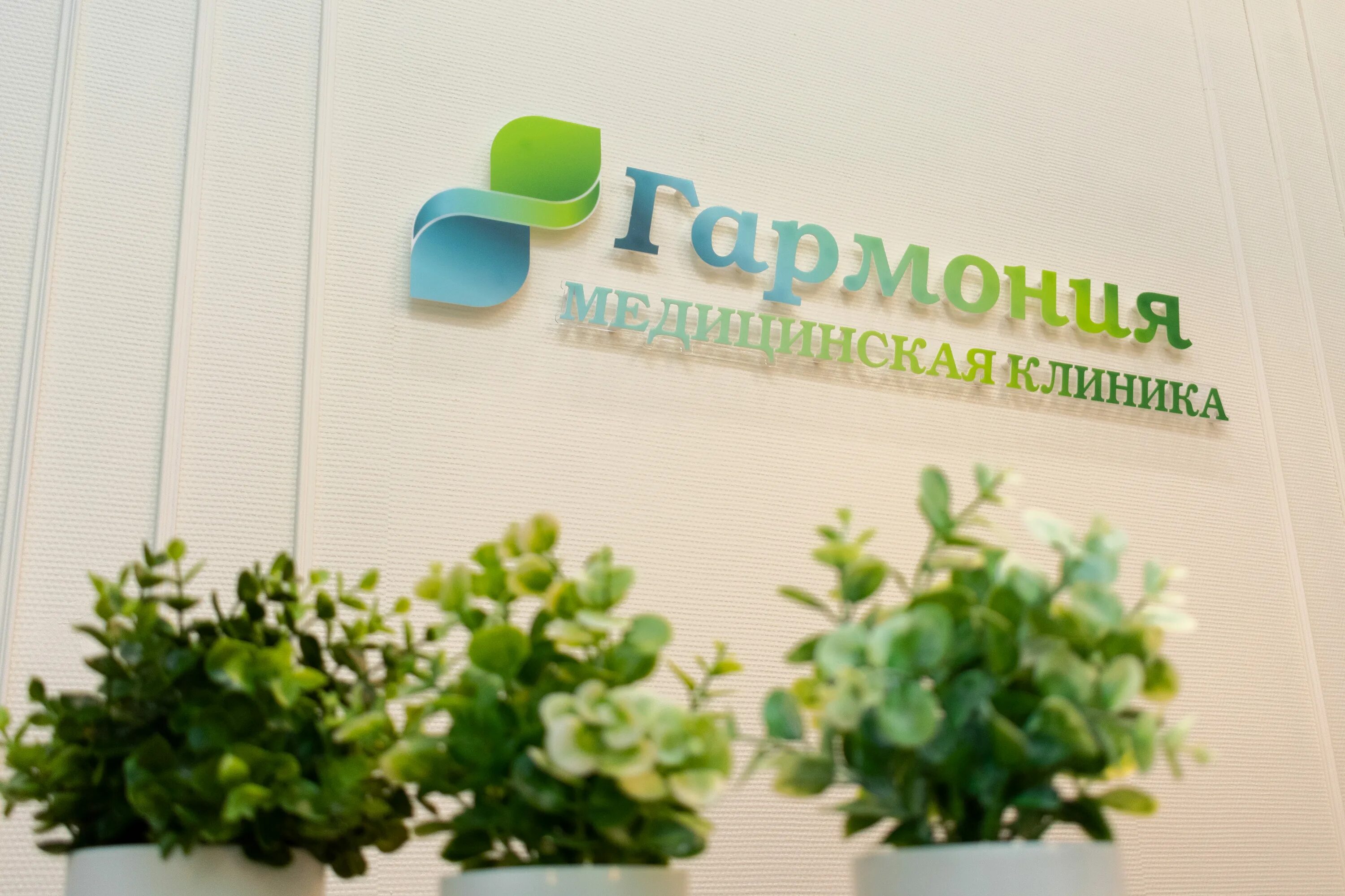 гармония медцентр ростов на дону. клиника гармония ростов-на-дону. красноармейская 170 клиника гармония. клиника гармония ростов-на-дону красноармейская 170. клиника гармония самара.