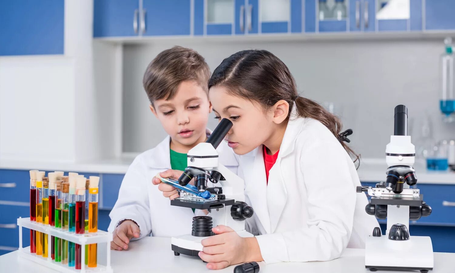 Урок биологии практика. Микроскоп для школьника. Наблюдение в микроскоп. Занятие для детей про микроскоп. Цифровые микроскопы для школьников.