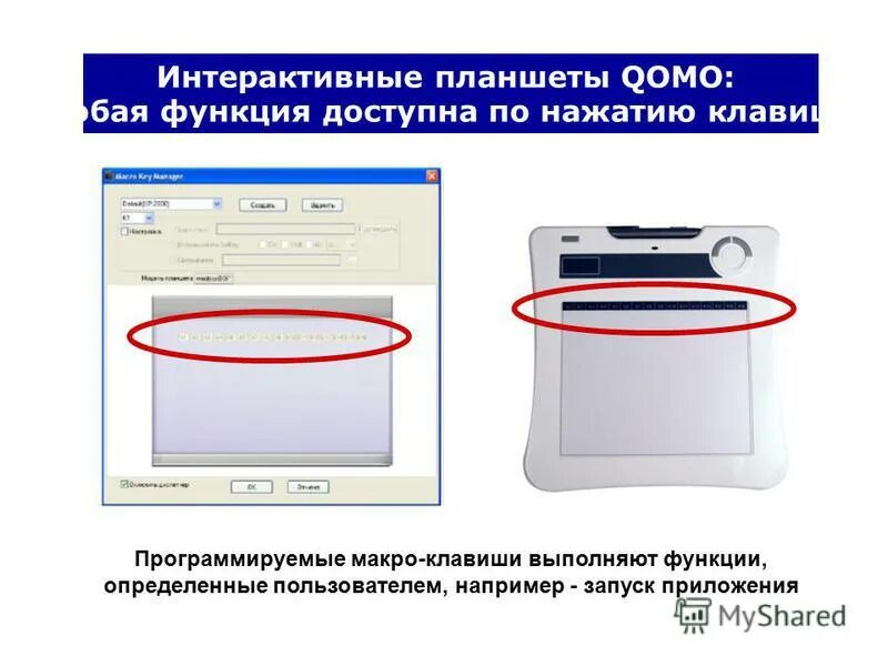 Кнопка выполняет функцию. Кнопка выполняет функцию