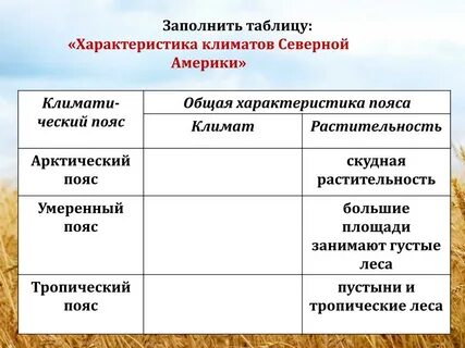 Характеристика поясов 7 класс