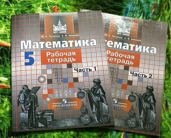 Рабочая тетрадь Никольский 5 класс. Тетрадь по математике 5 класс. Математика 5 класс рабочая тетрадь. Математика 5 класс Никольский рабочая тетрадь.