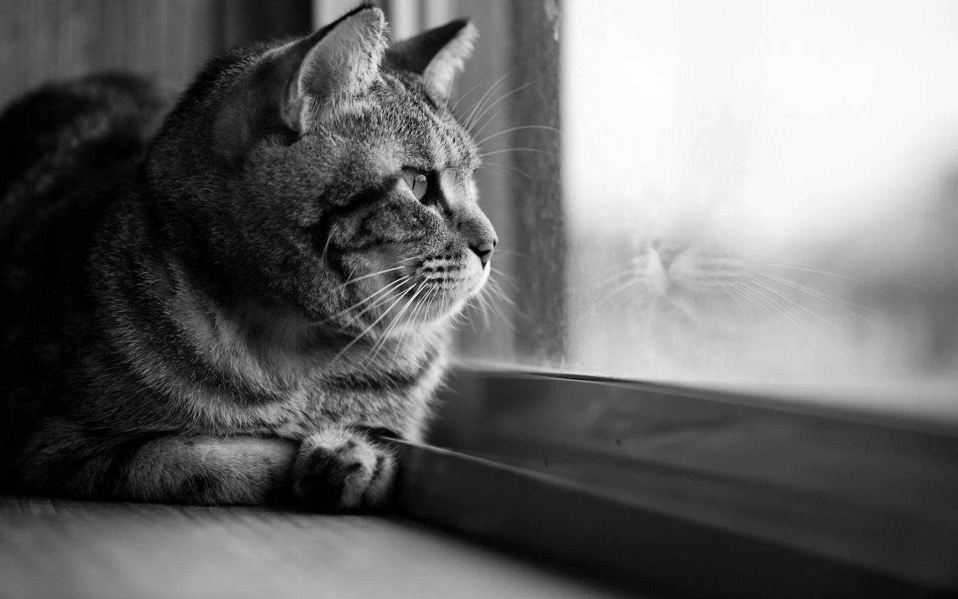 Печальных строк