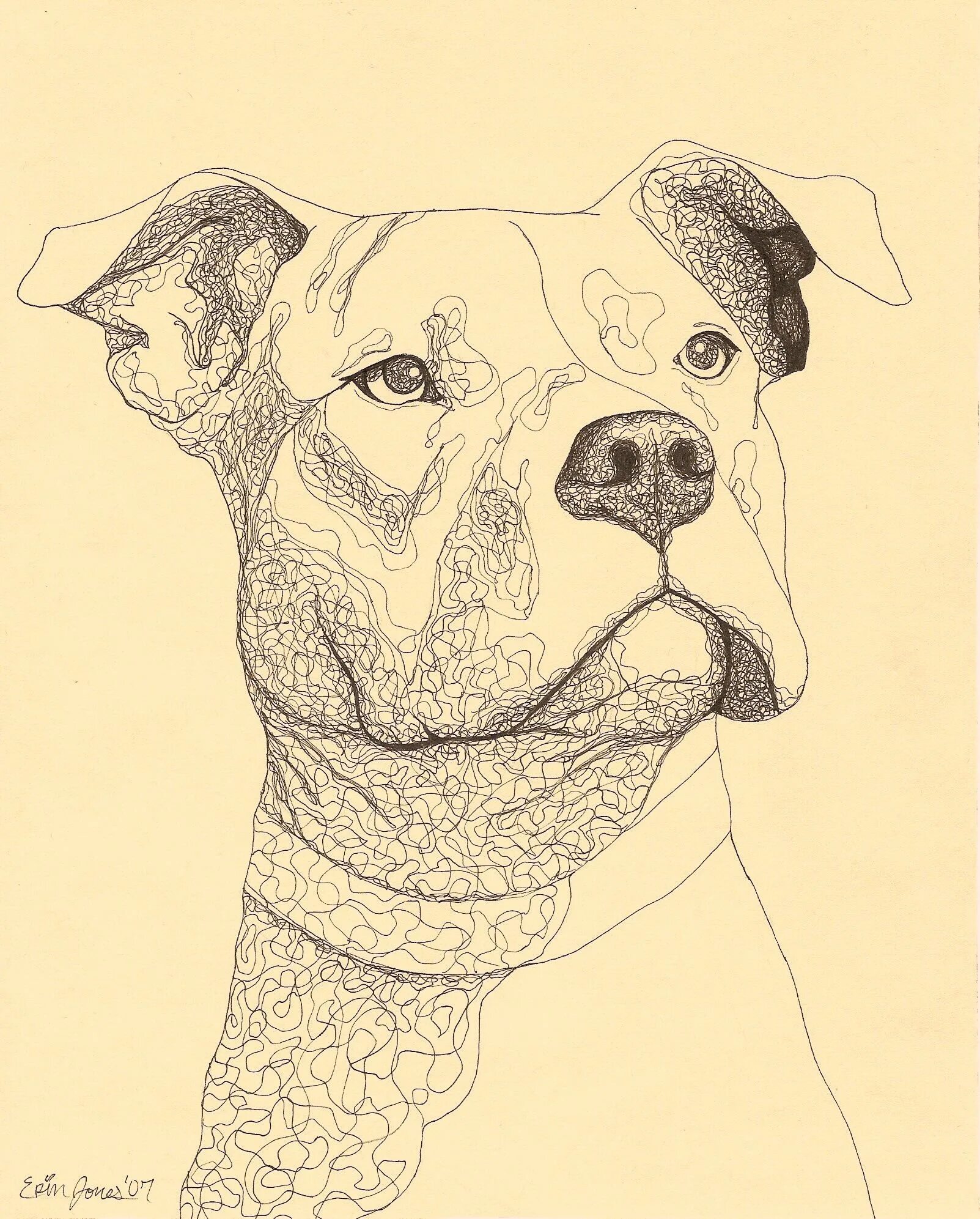 Эскиз собаки. Собака рисунок. Собака Графика. Морда собаки. Рисунок собаки графика