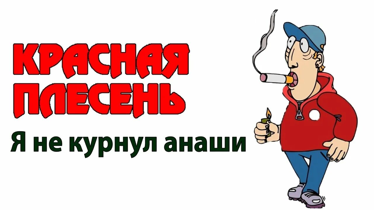 Клип курнул но вроде не. Я не курнул анаши красная плесень. Красная плесень на марихуане. Красная плесень картинки. Красная плесень логотип.