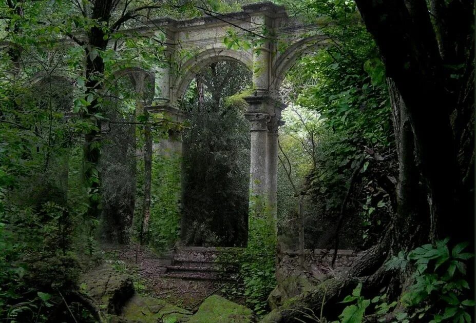 Арка природа. Башня руина в царицыно. Портленд орегон лес. Сказочное место. Старый парк заросший.