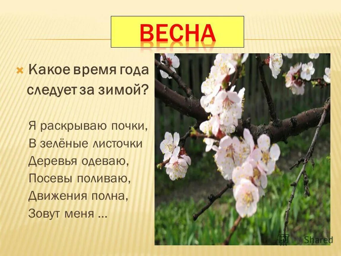 Проект 3 класс чтение время года. Проект времена года. Проект на тему времена года. Презентация на тему времена года.